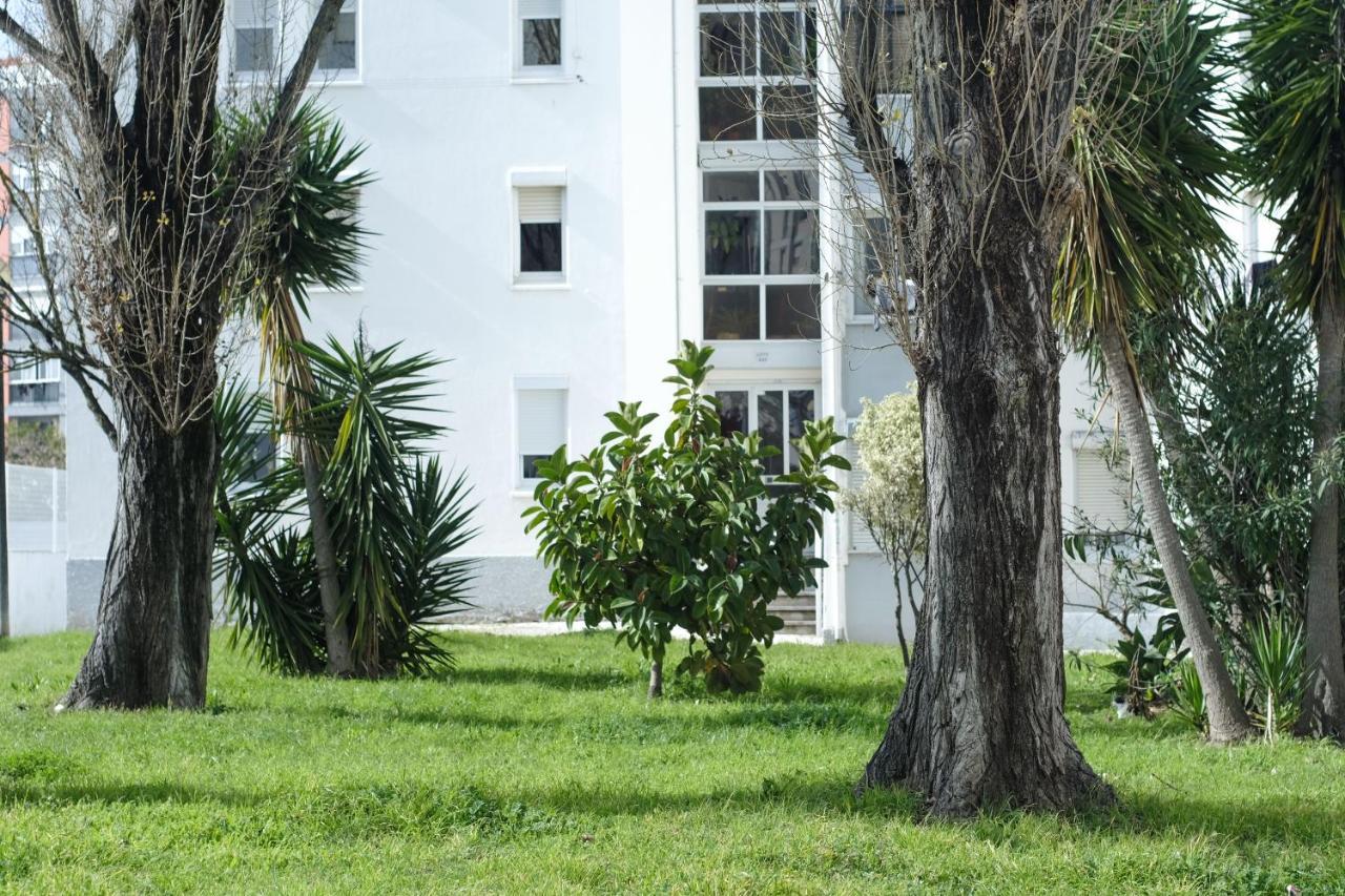 Olive Grove Apartment By Trip2Portugal Lisboa Eksteriør bilde